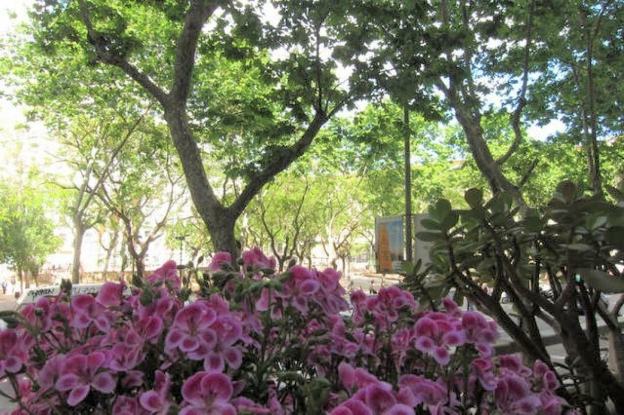 Sant Antoni Lovely Apartment บาร์เซโลนา ภายนอก รูปภาพ